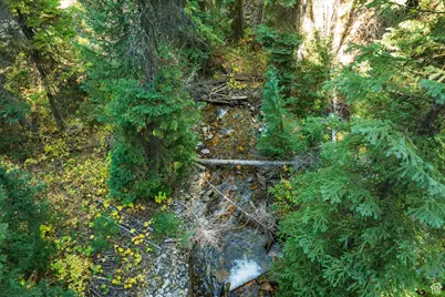 9407 E Wild Clematis Ln S, Salt Lake City, UT 84121 - Photo 13