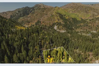 9407 E Wild Clematis Ln S, Salt Lake City, UT 84121 - Photo 5