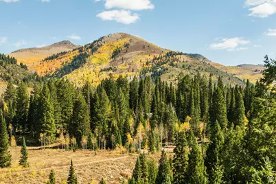 9407 E Wild Clematis Ln S, Salt Lake City, UT 84121 - Photo 11