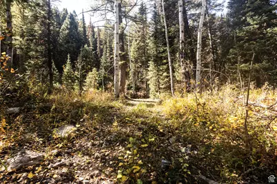 9407 E Wild Clematis Ln S, Salt Lake City, UT 84121 - Photo 35