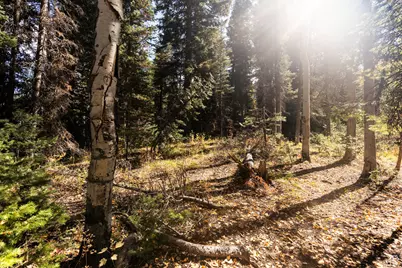 9407 E Wild Clematis Ln S, Salt Lake City, UT 84121 - Photo 37