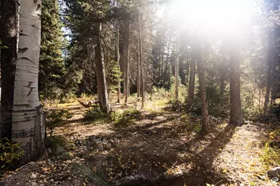 9407 E Wild Clematis Ln S, Salt Lake City, UT 84121 - Photo 1