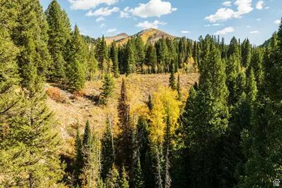 9407 E Wild Clematis Ln S, Salt Lake City, UT 84121 - Photo 17