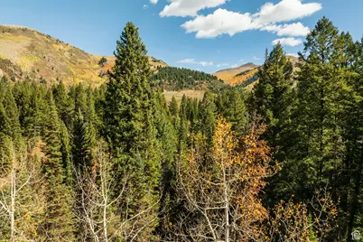 9407 E Wild Clematis Ln S, Salt Lake City, UT 84121 - Photo 9