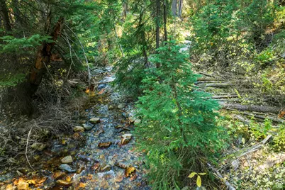 9407 E Wild Clematis Ln S, Salt Lake City, UT 84121 - Photo 15