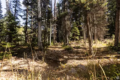 9407 E Wild Clematis Ln S, Salt Lake City, UT 84121 - Photo 39