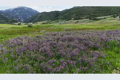 9000 S Meadow Dr W #A43, Heber City, UT 84032 - Photo 13