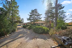 10665 S Dimple Dell Dr E, Sandy, UT 84092 - Photo 5