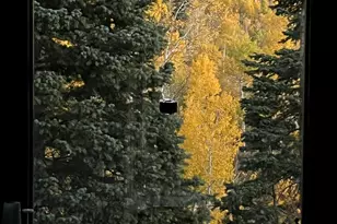 2043 S Pine Meadows Dr, Coalville, UT 84017 - Photo 33