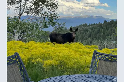 2043 S Pine Meadows Dr, Coalville, UT 84017 - Photo 39