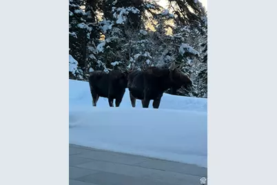 2043 S Pine Meadows Dr, Coalville, UT 84017 - Photo 41