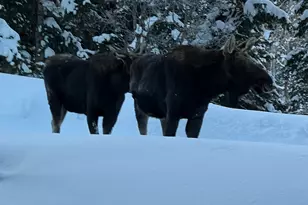 2043 S Pine Meadows Dr, Coalville, UT 84017 - Photo 41