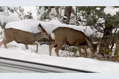 2043 S Pine Meadows Dr, Coalville, UT 84017 - Photo 37