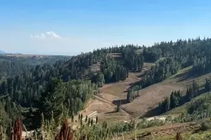 6741 E Aspen Dr N, Eden, UT 84310 - Photo 11