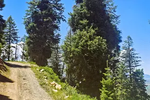 13081 E 14575 N Pine Creek Acres N, Mount Pleasant, UT 84647 - Photo 59