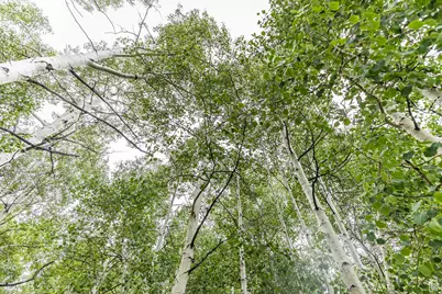 11911 E Antelope Dr #2022, Heber City, UT 84032 - Photo 13