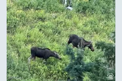 1598 Arapaho Dr #93, Coalville, UT 84017 - Photo 31