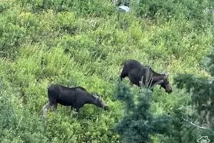 1598 Arapaho Dr, Coalville, UT 84017 - Photo 31