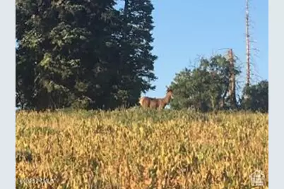 1598 Arapaho Dr #93, Coalville, UT 84017 - Photo 29