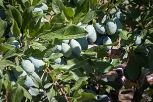 684 W Blue Mountain Ridge, Monticello, UT 84535 - Photo 35