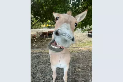 3488 E Fairway Ln S, Spanish Fork, UT 84660 - Photo 47