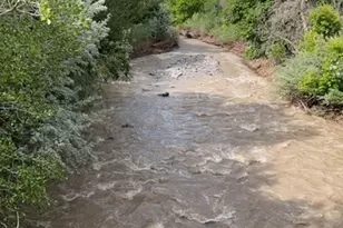 3488 E Fairway Ln S, Spanish Fork, UT 84660 - Photo 49