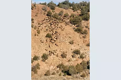 46501 W Bandanna Dr, Fruitland, UT 84027 - Photo 45