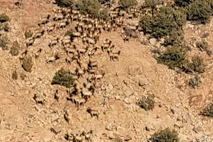 46501 W Bandanna Dr, Fruitland, UT 84027 - Photo 45