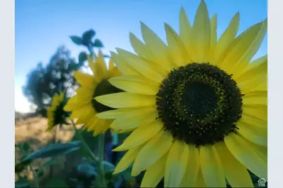 46501 W Bandanna Dr, Fruitland, UT 84027 - Photo 43