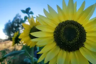 46501 W Bandanna Dr, Fruitland, UT 84027 - Photo 43