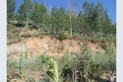 4 Aspen Cove Dr #4, Scofield, UT 84526 - Photo 3