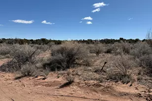 18245 W Caravan Ln, Duchesne, UT 84021 - Photo 43