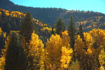 213 S 975 W #4, Torrey, UT 84775 - Photo 29