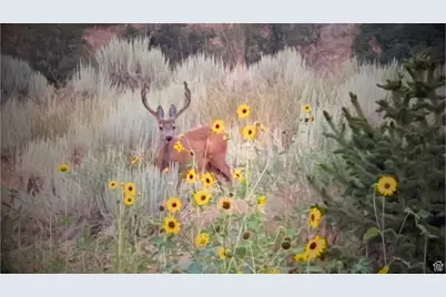 2254 S Valley Dr #60, Mapleton, UT 84664 - Photo 13