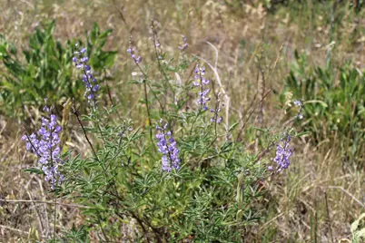 [Address not provided], McCammon, ID 83250 - Photo 13