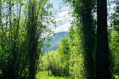 5050 E Weber Canyon Rd, Oakley, UT 84055 - Photo 39