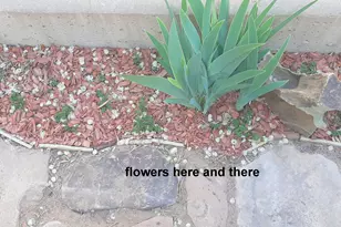 338 E 100 N, Moab, UT 84532 - Photo 31