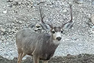 1930 W 5900 N, Brigham City, UT 84302 - Photo 107