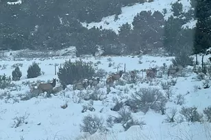 1930 W 5900 N, Brigham City, UT 84302 - Photo 109