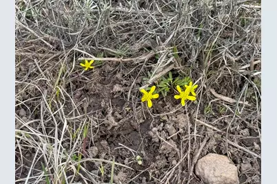 105 Aspen Cove Dr #105, Scofield, UT 84526 - Photo 9