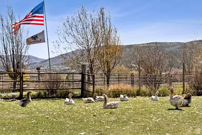 29706 Old Lincoln Hwy, Wanship, UT 84017 - Photo 35