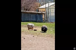 29706 Old Lincoln Hwy, Wanship, UT 84017 - Photo 49