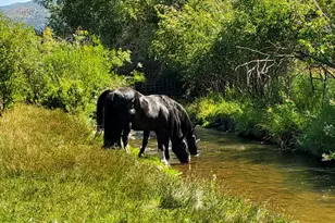 29706 Old Lincoln Hwy, Wanship, UT 84017 - Photo 51