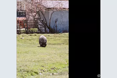 29706 Old Lincoln Hwy, Wanship, UT 84017 - Photo 41