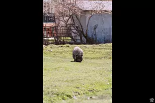 29706 Old Lincoln Hwy, Wanship, UT 84017 - Photo 41