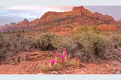 2613 Canyon Point Dr #3, Springdale, UT 84767 - Photo 15