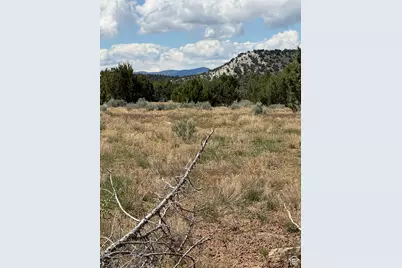 [Address not provided], Spring City, UT 84662 - Photo 9