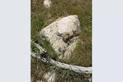 [Address not provided], Spring City, UT 84662 - Photo 15