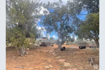 123 E Hickman Flats Rd, Monticello, UT 84535 - Photo 5