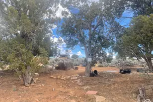 123 E Hickman Flts Rd, Monticello, UT 84535 - Photo 5